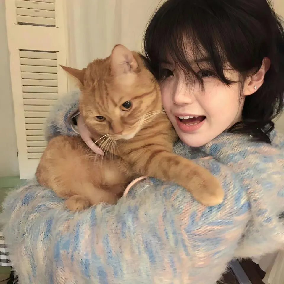 赢得美人